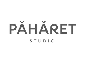chainels-111775049509020051-logo